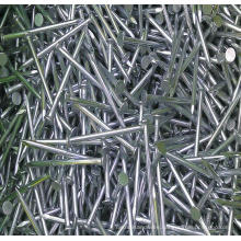 Construction Nails Electro Galvanized Concrete Nails for Sale